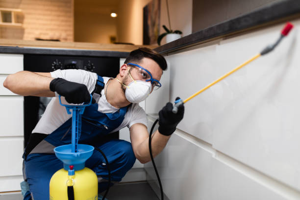 Best Flea Control Services  in China Spring, TX