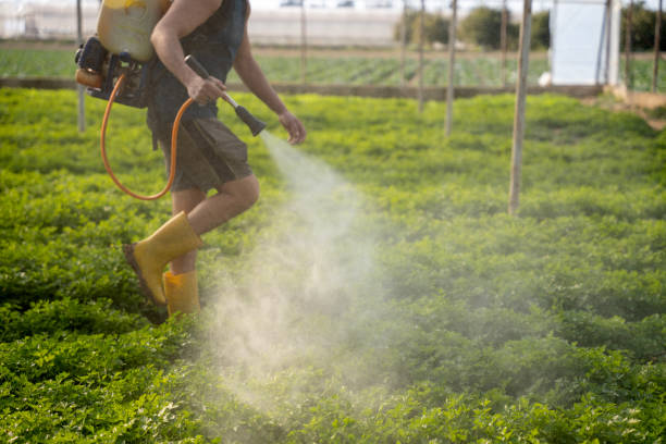 Insect Control in China Spring, TX